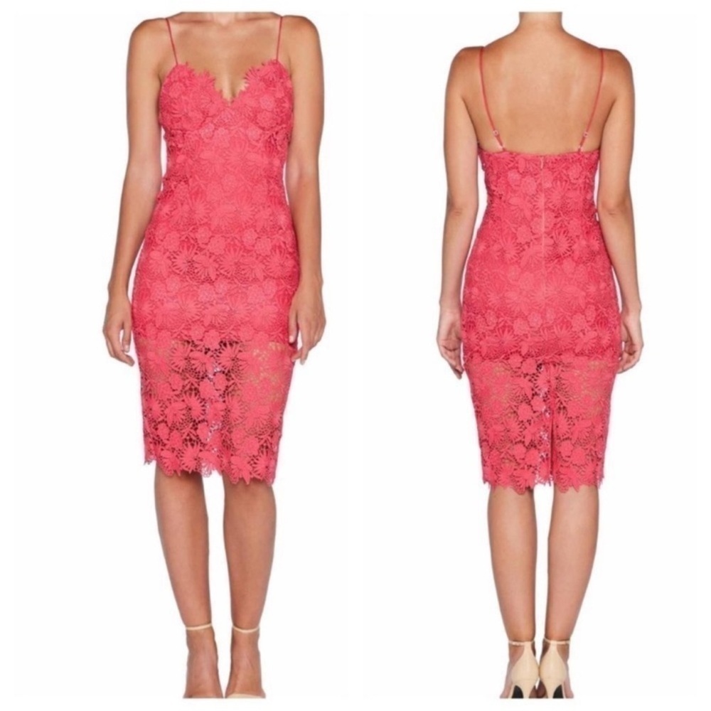 Bardot Taylor Lace Cocktail Dress XS